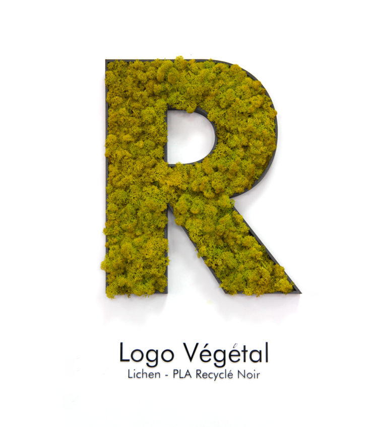logo végétal